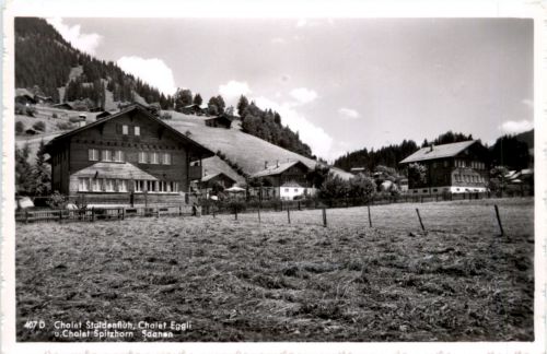 Saanen - Chalet Staldenfluh