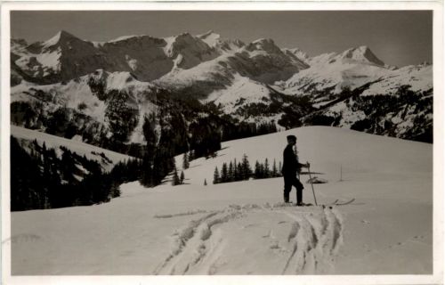 Adelboden Lenk - Am Hahenmoospass - Ski