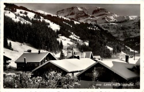 Lenk