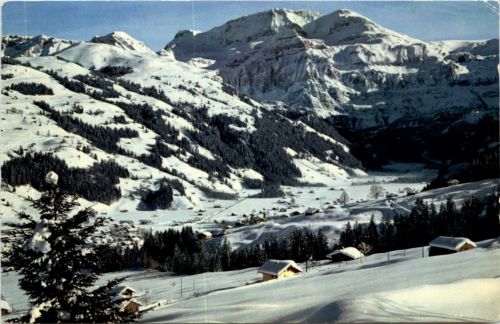 Lenk