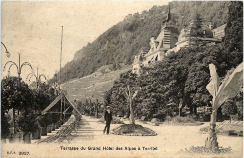 Terasse du Grand Hotel des Alpes a Territet