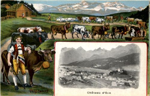 Chateau d Oex - Litho