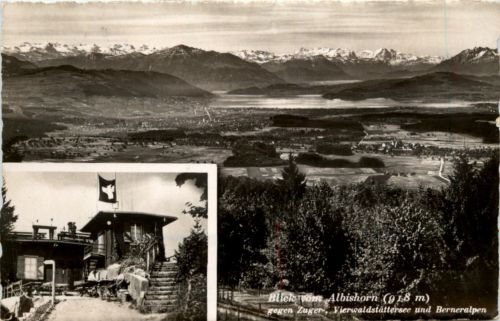 Blick vom Albishorn