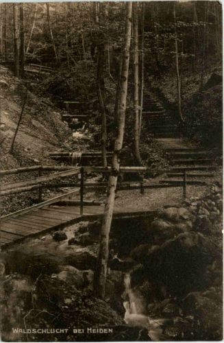 Waldschulcht bei Heiden