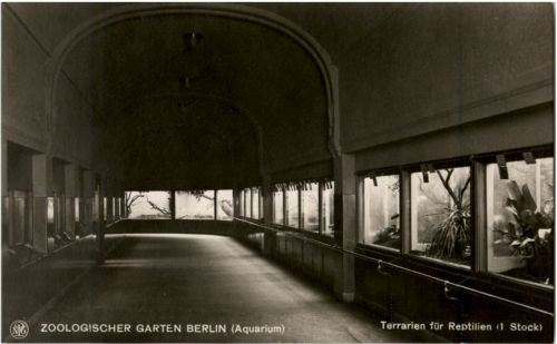 Berlin - Zooloigischer Garten