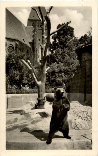 Berlin - Berliner Stadtbär Nante