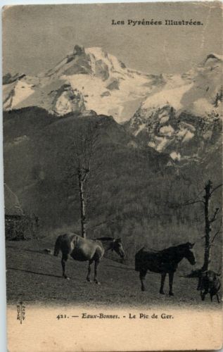 Eaux Bonnes - Horse