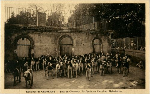 Equipage de Cheverny - Dogs