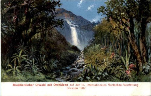 Dresden - Internationale Gartenbau Aussellung 1907