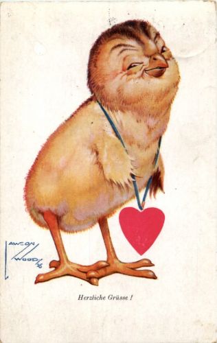 Kücken - Awson Wood