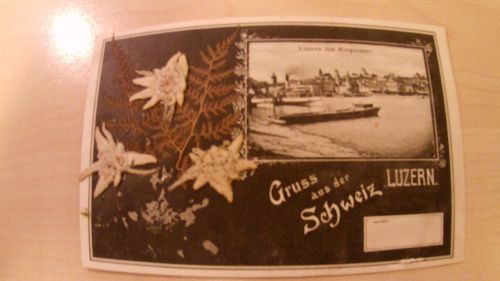 Gruss aus Luzern - mit echtem Edelweiss