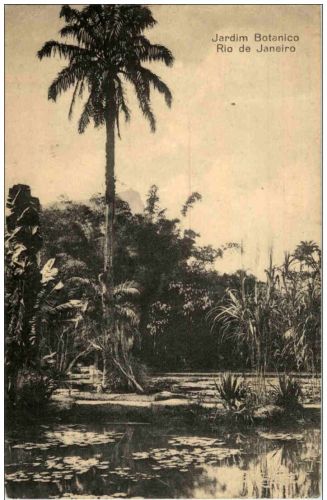 Rio de Janeiro - Jardim Botanico
