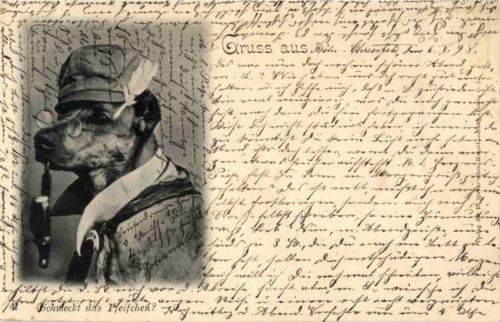 Schmeckt das Pfeifchen