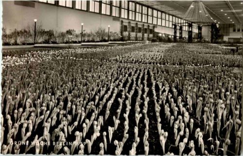 Berlin - Grüne Woche 1959