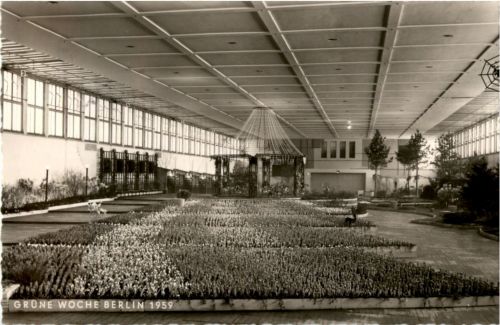 Berlin - Grüne Woche 1959