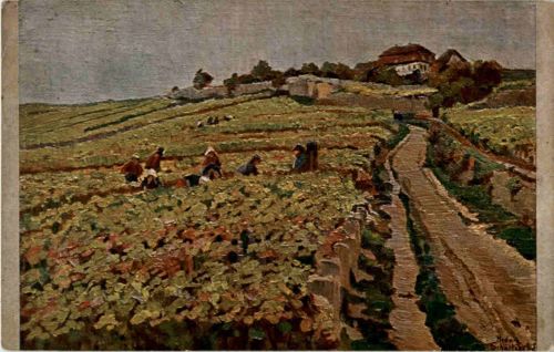 Hedwig Schäffer - Weinlese bei Herrheim