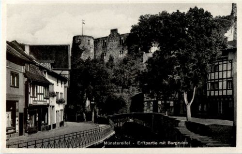 Münstereifel - Erftpartie