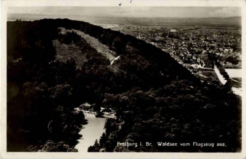 Freiburg - Waldsee vom Flugzeug