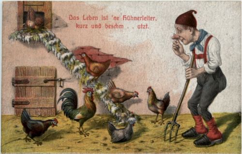 Humor - Hühner