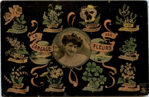 Le Langage des Fleurs