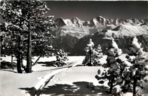 Blick vom Niederhorn