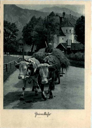 Heimkehr