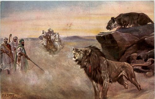 Lion