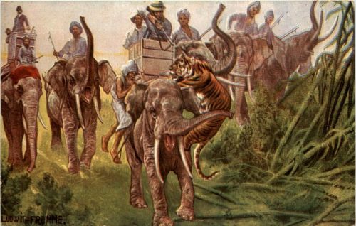 Elephant and Tiger