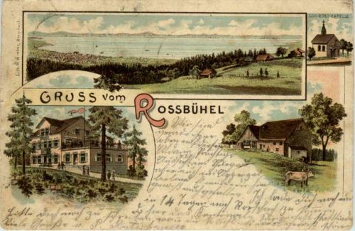 Gruss vom Rossbühel bei Grub - Litho