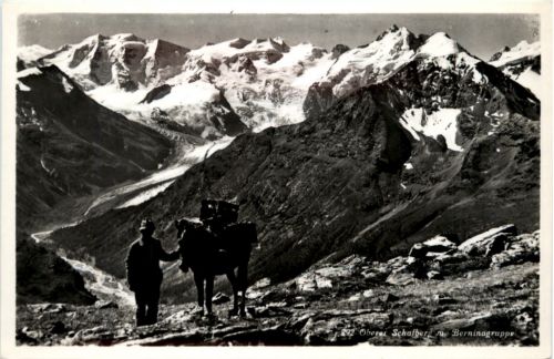 Pontresina - Oberer Schafberg