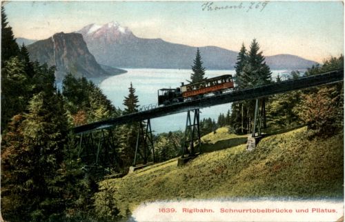 Rigibahn