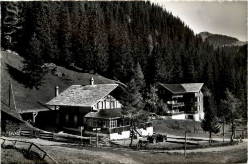 Lenk