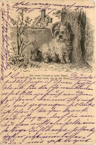 Hund - Dog