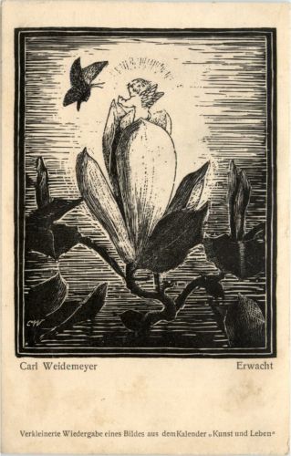 Carl Weidemeyer