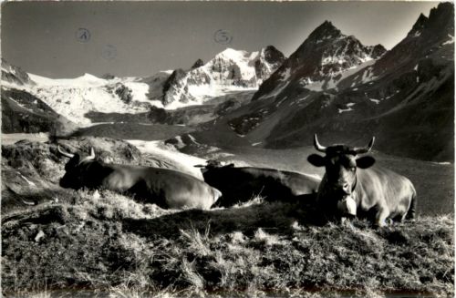 Moiry
