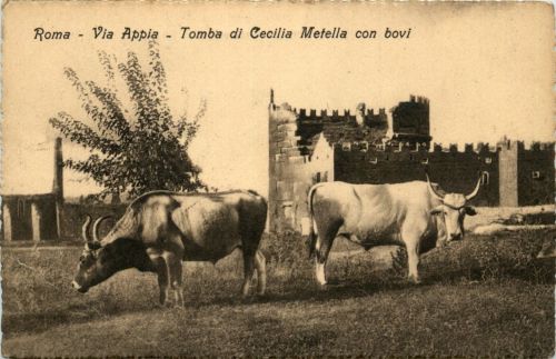 Roma - Via Appia