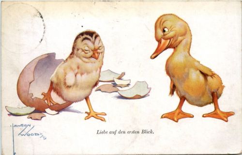 Ente Huhn