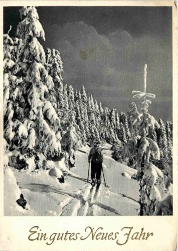 Ski