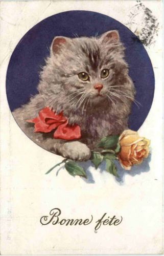 Katze