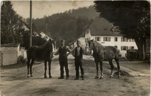 Pferde