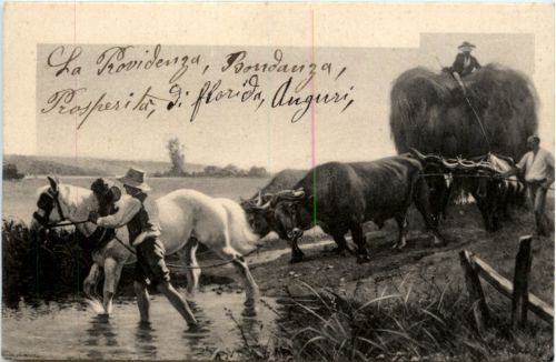 Ochsenkarren