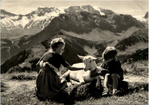 Kind mit Ziegen - Goat