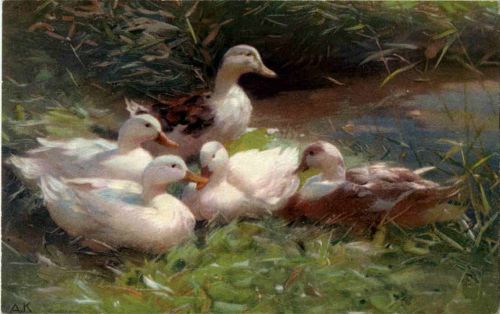 Enten