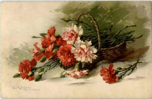 Catharina Klein