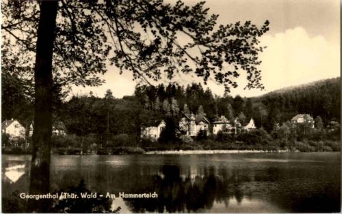 Georgenthal - Am Hammerteich