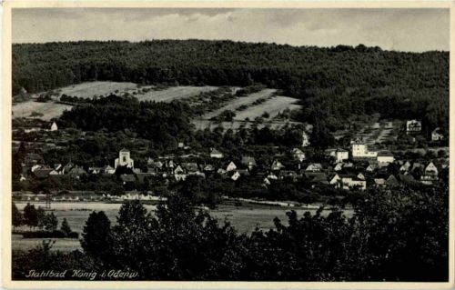 Bad König