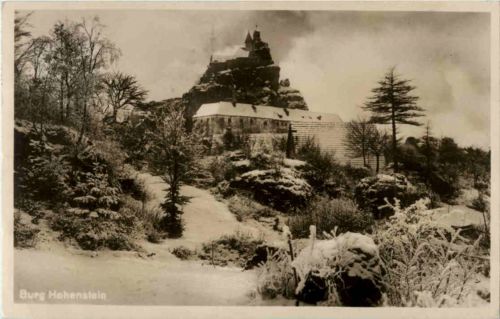Burg Hohenstein