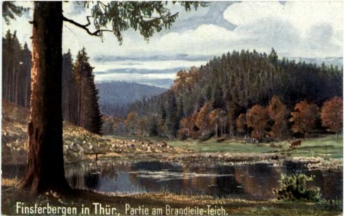 Finsterbergen - Partie am Brandleite Teich