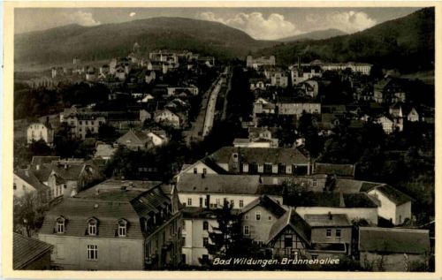 Bad Wildungen - Brunnenallee