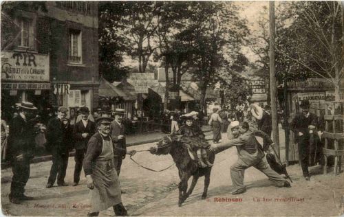 Robinson - Un ane recalcilrant